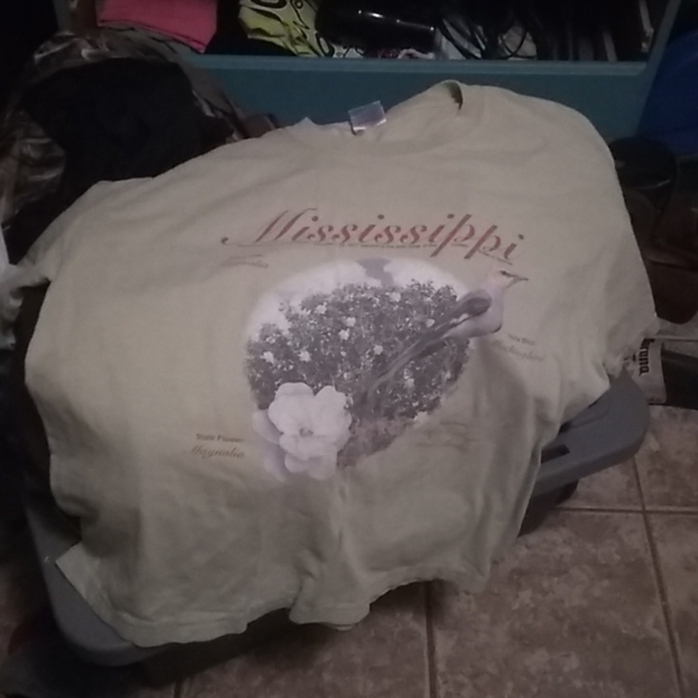 Mississippi T-shirt